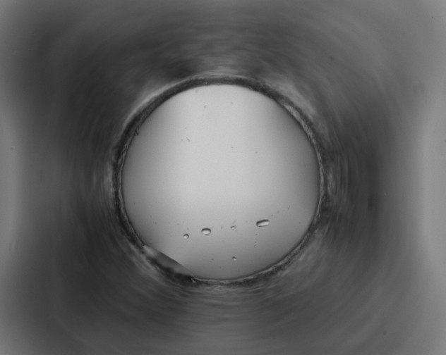 X0000087321356200705112128