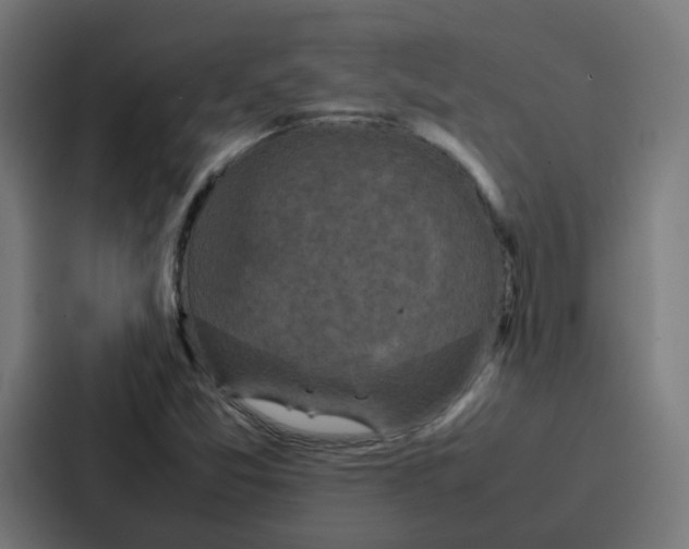 X0000087321357200705112128