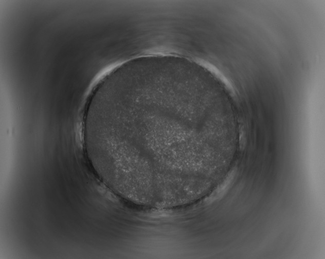 X0000087321358200705112128