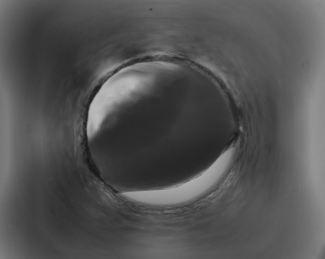 X0000087321359200705112128