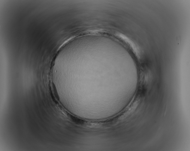 X0000087321361200705112128