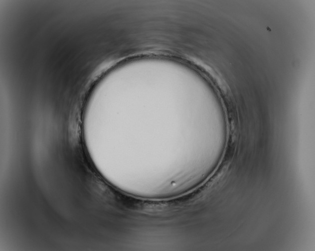 X0000087321363200705112128