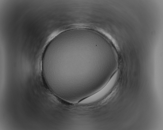 X0000087321365200705112128