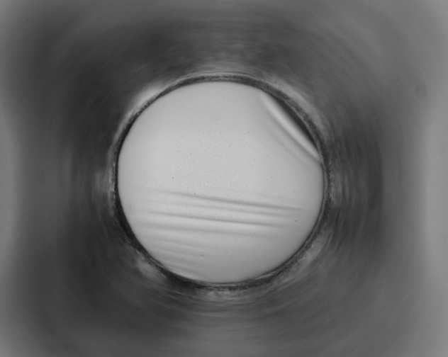 X0000087321366200705112128