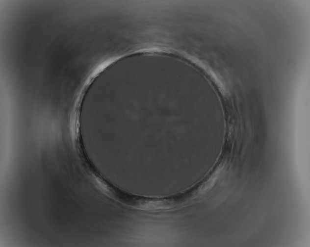 X0000087321367200705112128