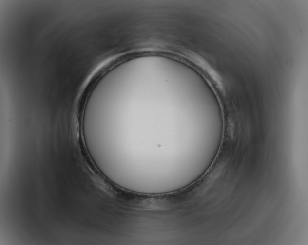 X0000087321368200705112128