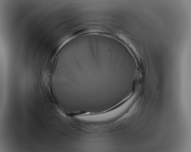 X0000087321369200705112128