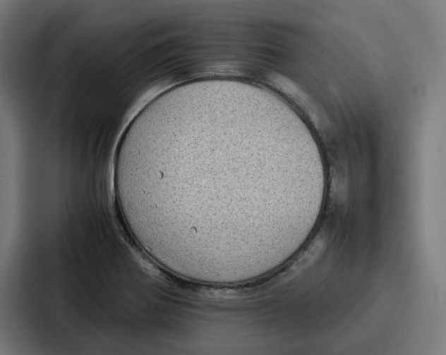 X0000087321370200705112128