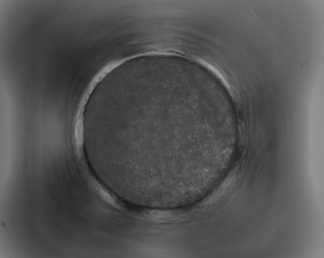 X0000087321371200705112128