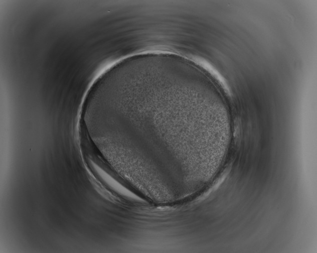 X0000087321372200705112128