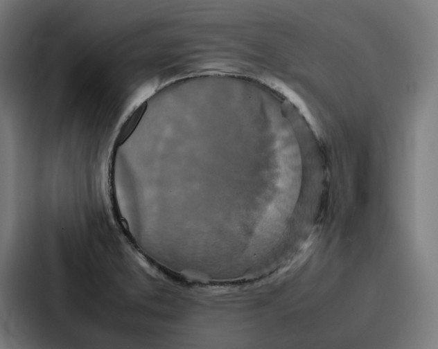 X0000087321373200705112128