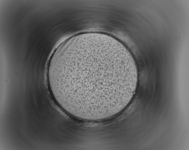 X0000087321374200705112128