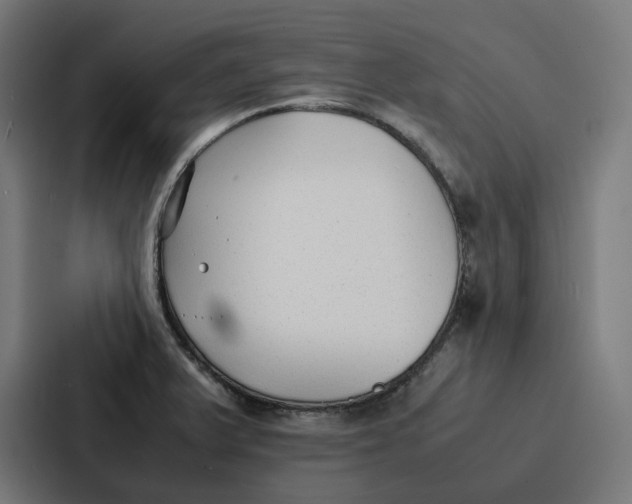 X0000087321375200705112128