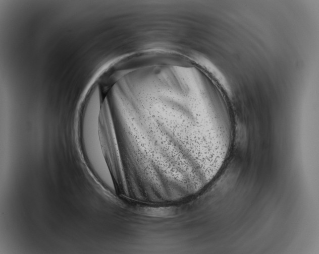 X0000087321376200705112128