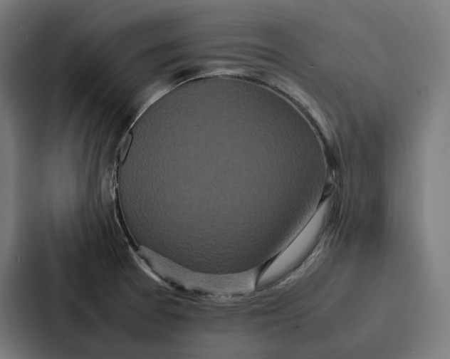 X0000087321377200705112128