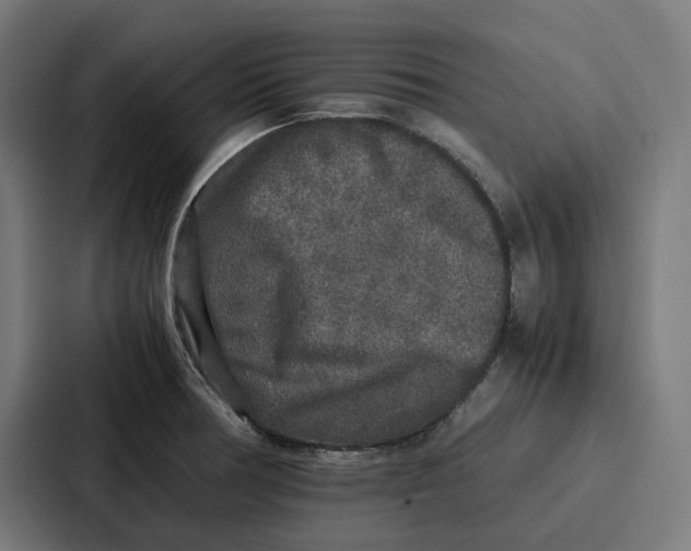 X0000087321378200705112128