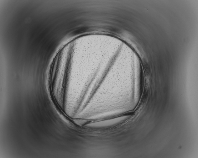 X0000087321379200705112128