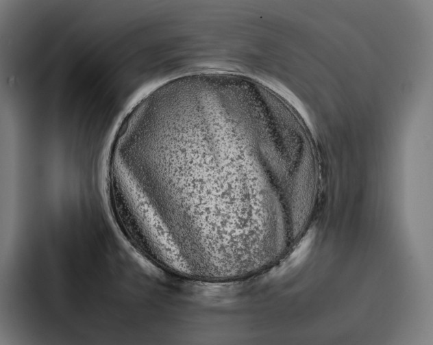 X0000087321381200705112128