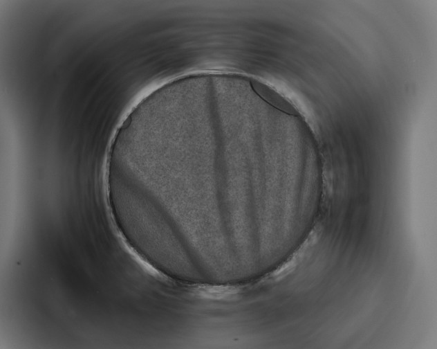 X0000087321382200705112128