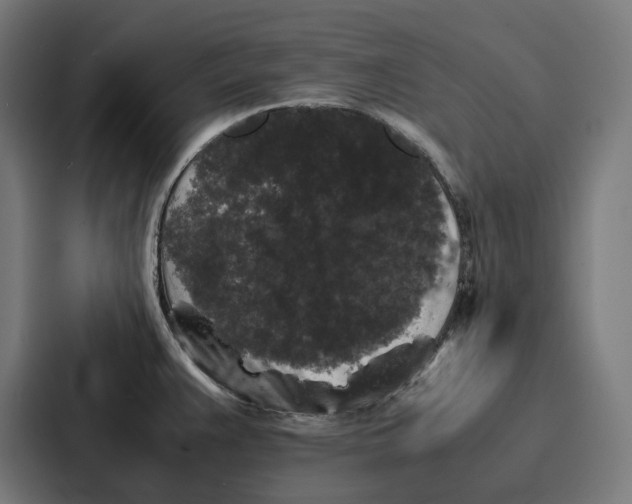 X0000087321383200705112128