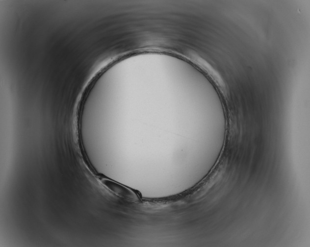 X0000087321384200705112128