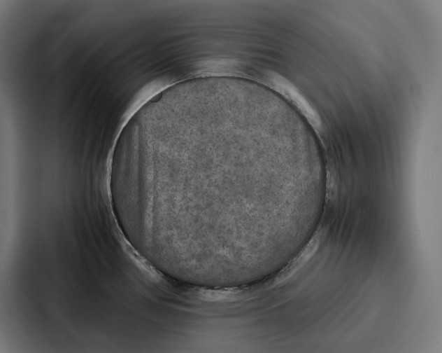 X0000087321386200705112128