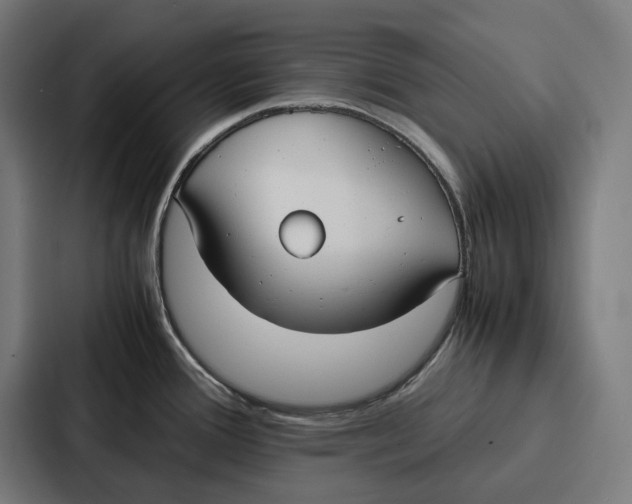 X0000087321388200705112128