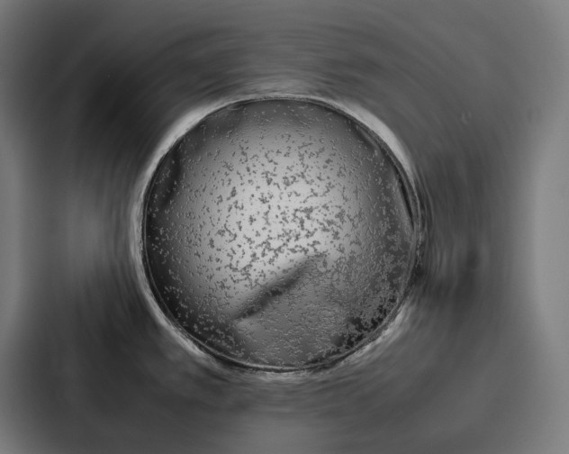 X0000087321389200705112128