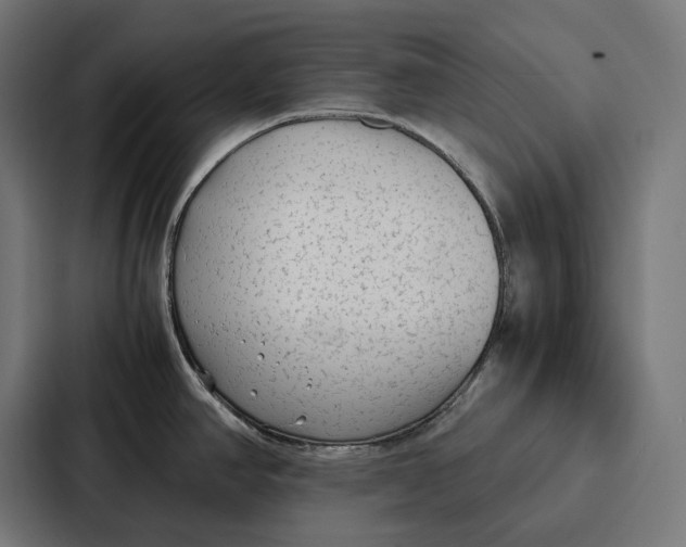 X0000087321390200705112128