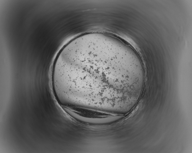 X0000087321392200705112128