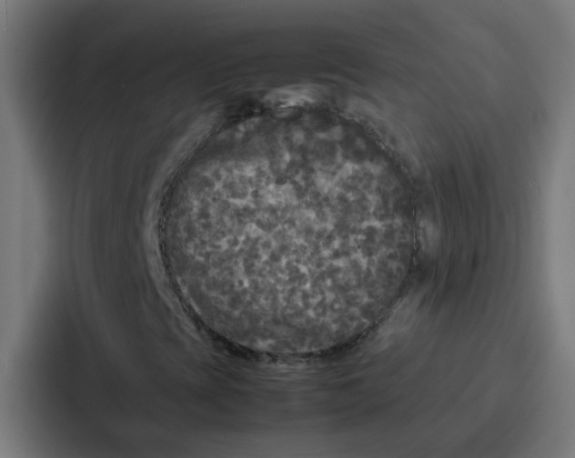 X0000087321393200705112127