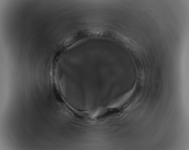 X0000087321394200705112127