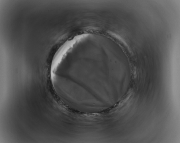 X0000087321399200705112127