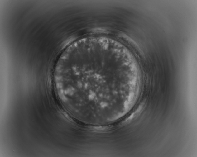 X0000087321401200705112127