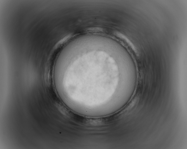 X0000087321403200705112127