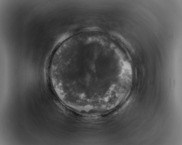 X0000087321405200705112127