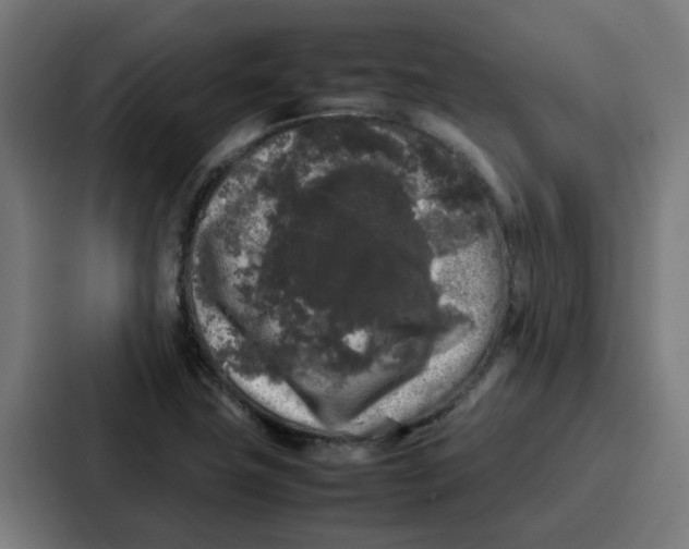 X0000087321411200705112128