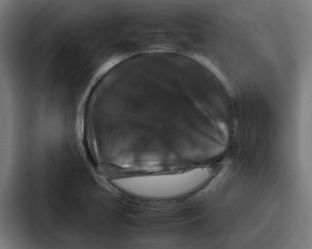 X0000087321413200705112128