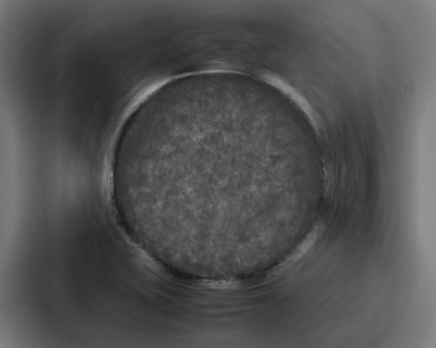 X0000087321415200705112128