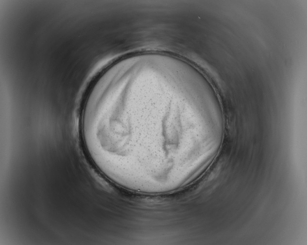 X0000087321416200705112128