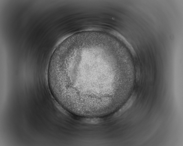 X0000087321417200705112128