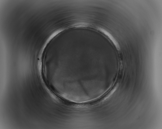 X0000087321418200705112128