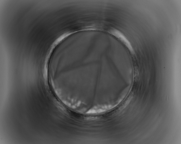 X0000087321419200705112128