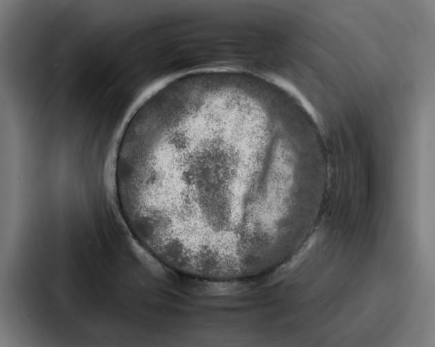 X0000087321421200705112128