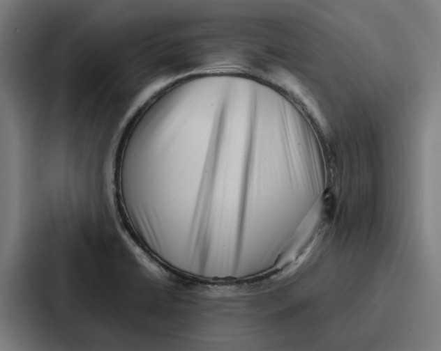 X0000087321422200705112128