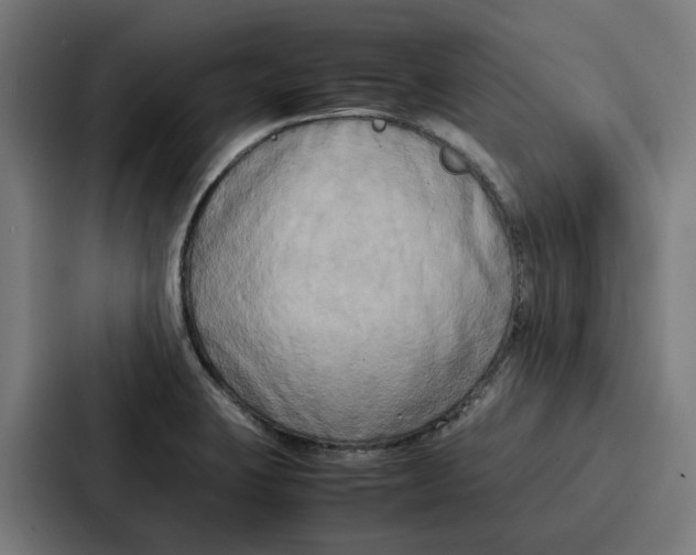 X0000087321423200705112128