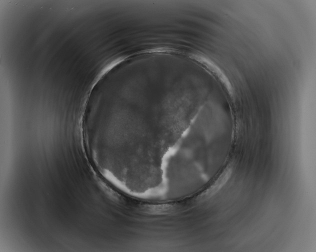 X0000087321425200705112128