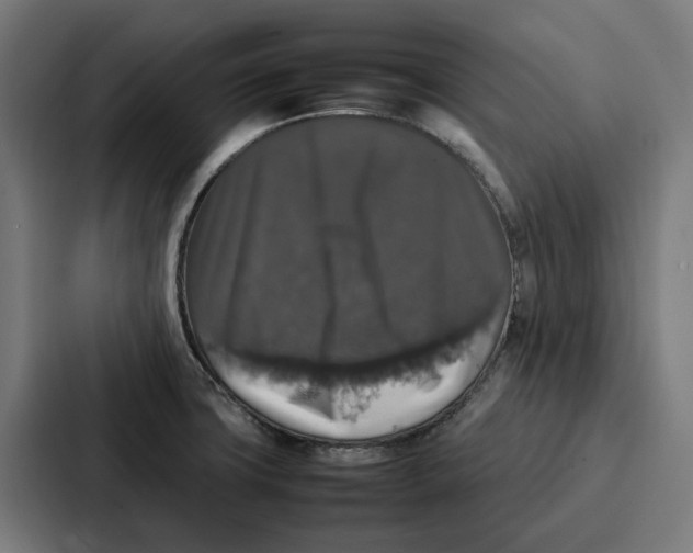 X0000087321427200705112128