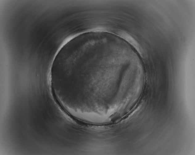 X0000087321428200705112128