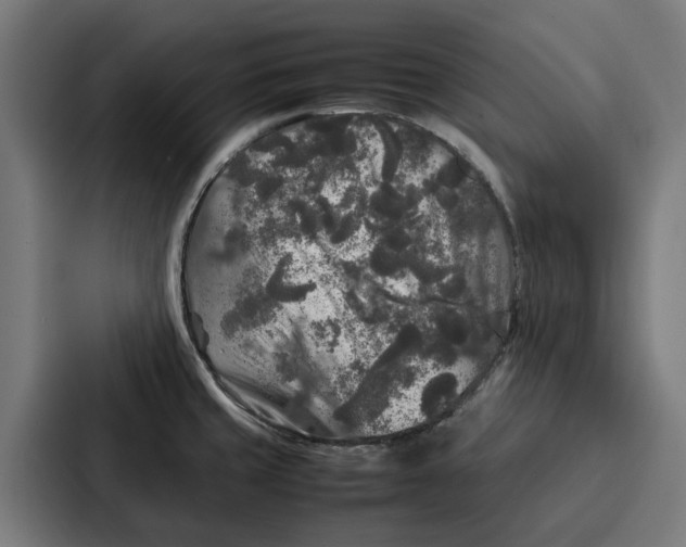 X0000087321429200705112128